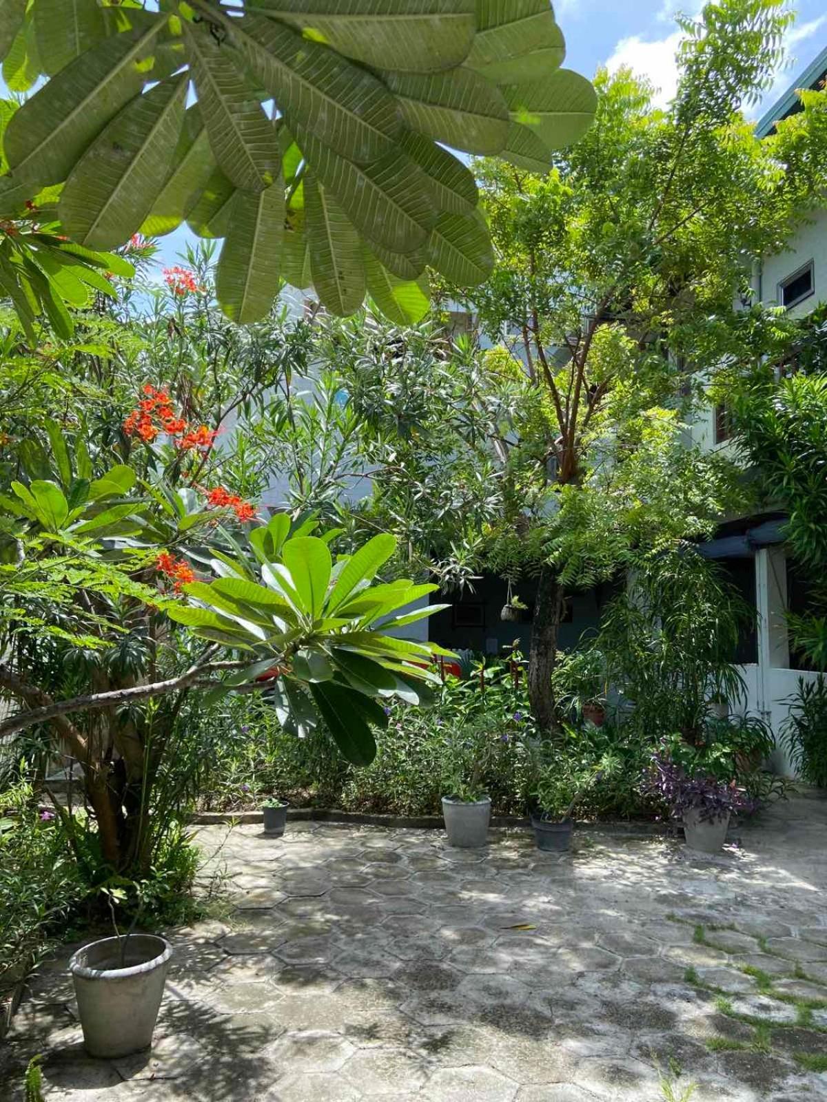 Cerulean View Residence Hanimaadhoo Island Екстер'єр фото