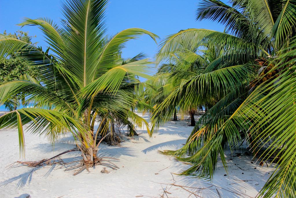 Cerulean View Residence Hanimaadhoo Island Екстер'єр фото