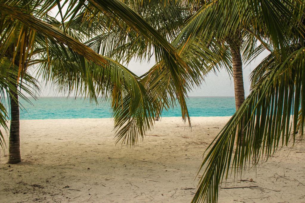 Cerulean View Residence Hanimaadhoo Island Екстер'єр фото